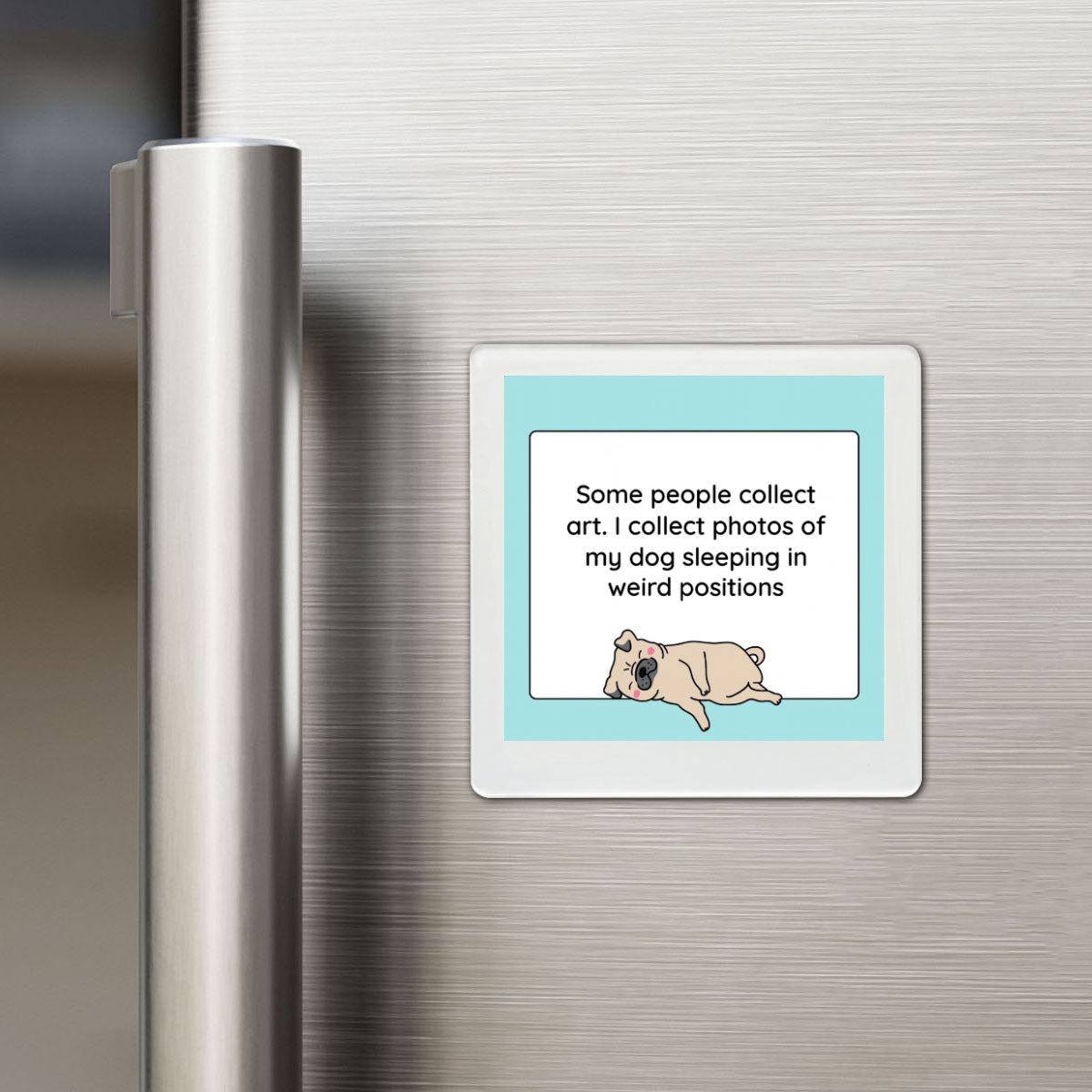 Weird Dog Pictures Funky Magnet