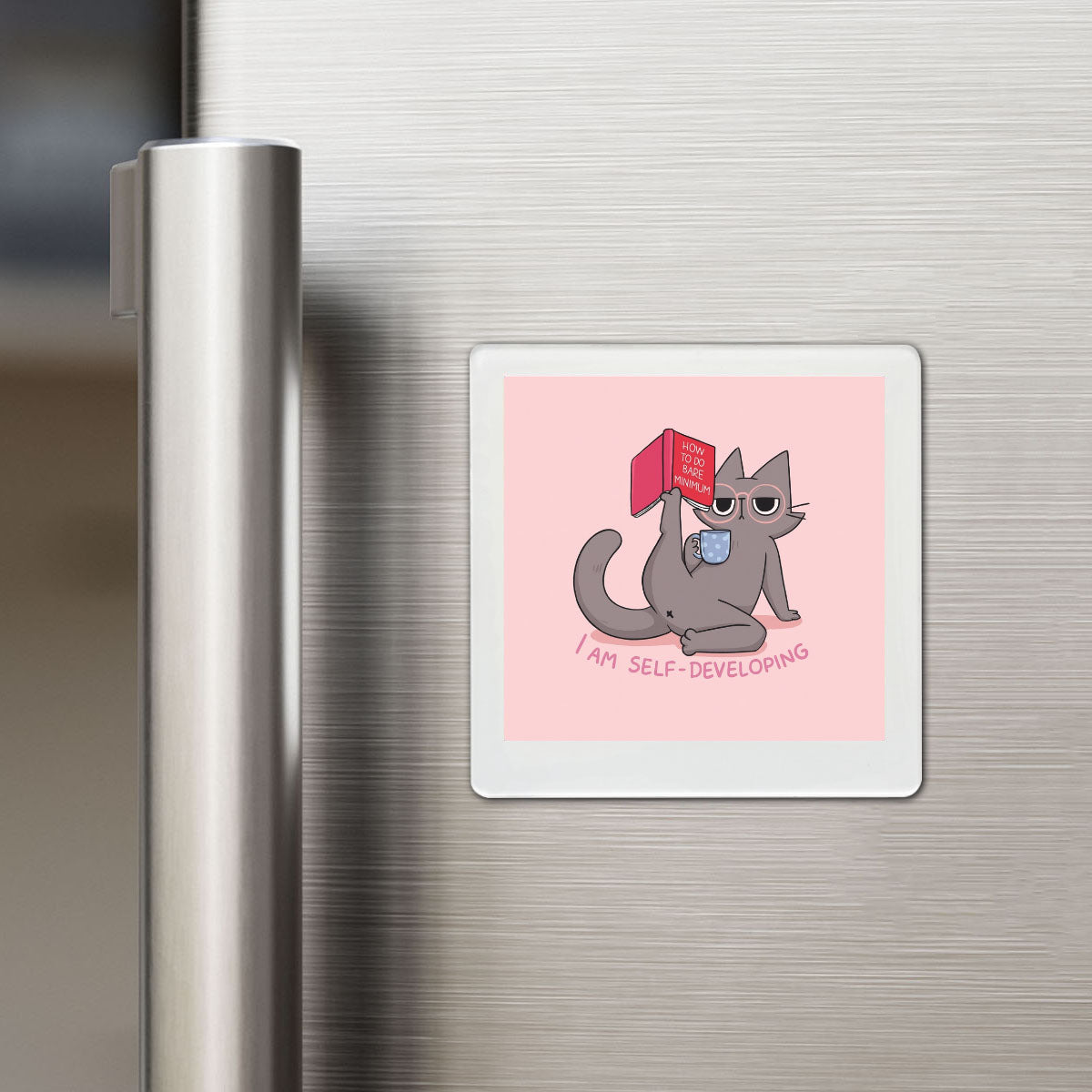 Self Developing Funky Magnet