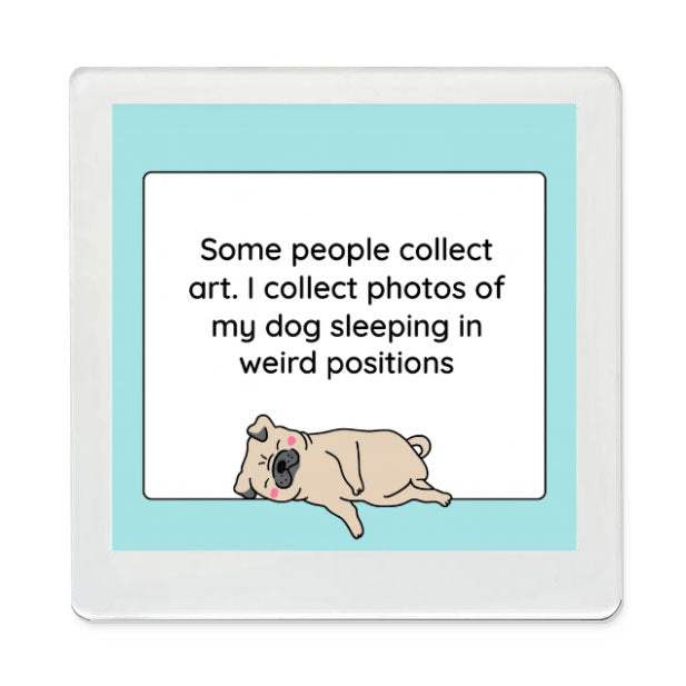 Weird Dog Pictures Funky Magnet