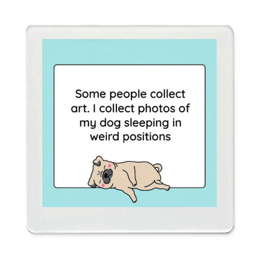 Weird Dog Pictures Funky Magnet
