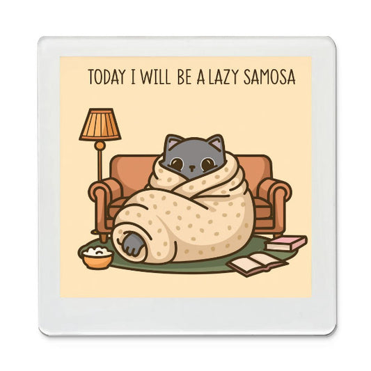 Lazy Samosa - Funky Magnet