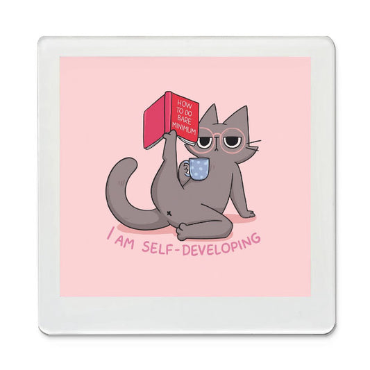 Self Developing Funky Magnet