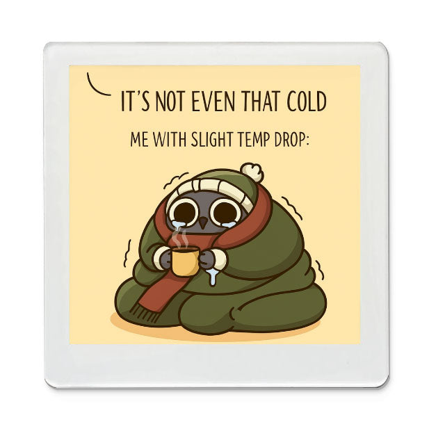 It’s Not Even That Cold – Funky Magnet